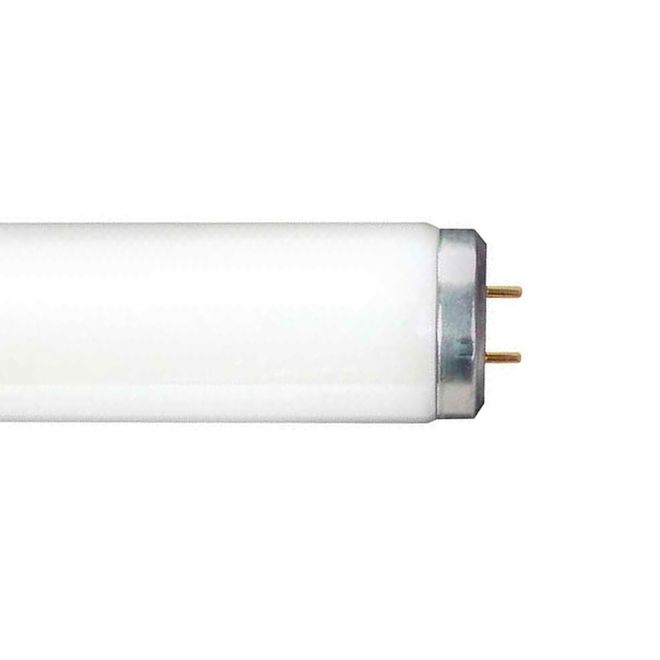 Tubes et ampoules fluorescentes compactes