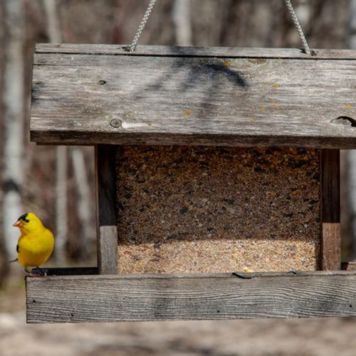 Bird and Animal Accessories