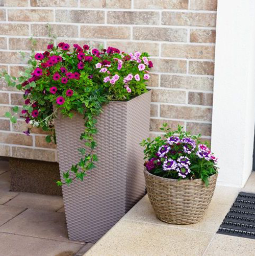 Horticulture Accessories