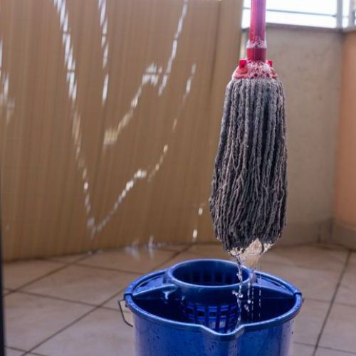 Mops and Scrapers