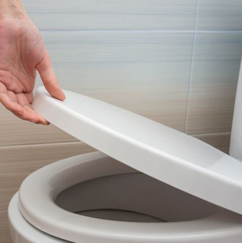 Toilet Seats