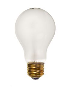Ampoule Usage robuste 100W (2/paq)
