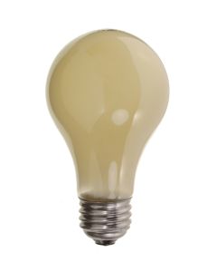 Ampoule Anti-Insecte 60W 2/Pqt
