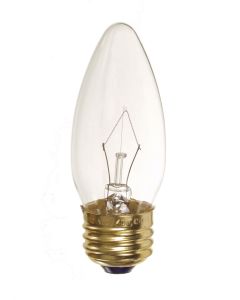 Light Bulb 25W Clear Med  2/Pck