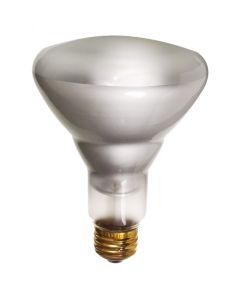 Light Bulb 65W BR30 - Straight Beam