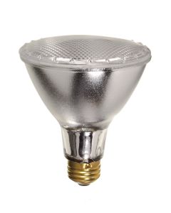 Halogen Light Bulb 75W PAR30