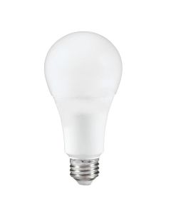 AMPOULE DEL A21 16W 2700K