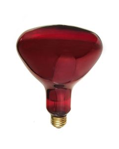 Ampoule infrarouge R40 250W