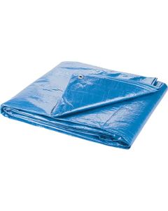 Tarpaulin 30'x50' Blue
