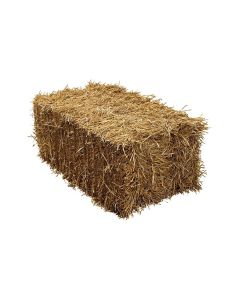 Standard Straw Bale (32"x20"x12")