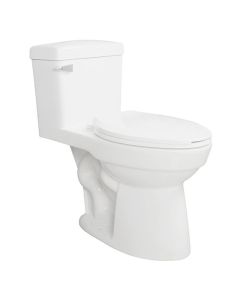 Single Flush Elongated 1-Piece Toilet 4.8L