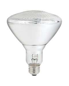 Bulb Halogen BR38 89W 2 Pack Clear