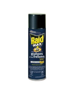 Mousse insecticide contre les guêpes et les frelons Raid MAX, 500 g