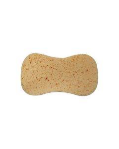 Grout Sponge