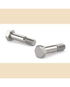 Boulon à tête hexagonale - Acier inoxydable - 5/16" x 3/4" (2)
