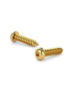 Polished Brass Metal Screw, Pan, Square, Self-Tapping Thread #8x5/8" (18)