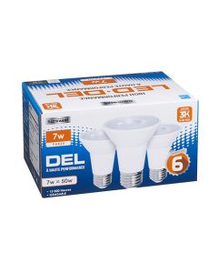 Ampoule DEL PAR20 6 W, intensité variable, pqt/6
