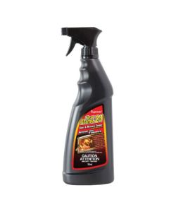 Nettoyant 2 en 1 pour verre et maçonnerie, 650 ml
