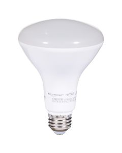 11W LED Dimmable BR30 Bulb - Day Light
