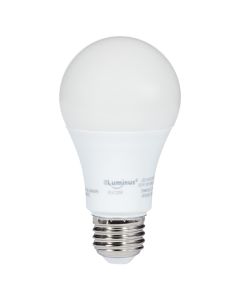 Ampoule DEL A19, 8,5 W, lumière de jour
