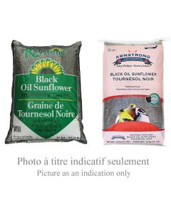 Graine de tournesol 16kg