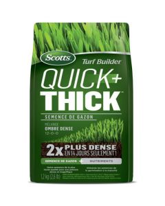 Scotts Turf Builder Quick + Thick Grass Seeds Dense Shade Mix 12-0-0 - 1.2 kg