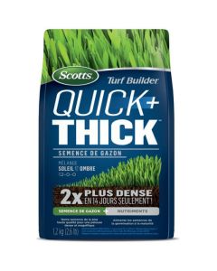 Scotts Turf Builder Quick + Thick Sun-Shade Mix Grass Seeds - 1.2 kg