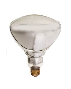 Ampoule infrarouge R40 - 250 W, 130 V, claire