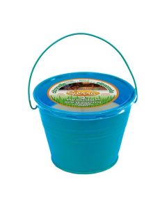 Bougie à seau citronnelle Sierra 6 po