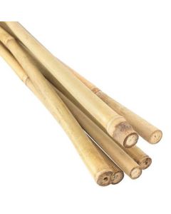 Tuteur pour plates en bambou naturel DH Line 6 pieds, paquet de 6