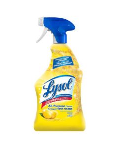 Nettoyant Lysol tout usage avec pulvérisateur 650 ml