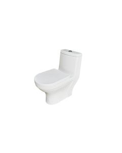 White One-Piece Elongated Toilet with Dual Flush