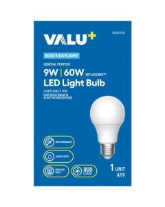 Ampoule LED A19 9 W 5000 K Lumière du jour - 1 unité