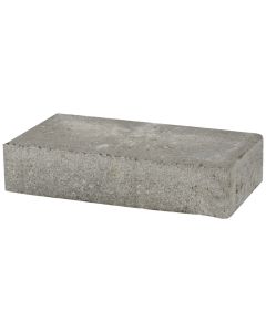 Concrete Back-Up Brick 2.25" x 4" x 8"