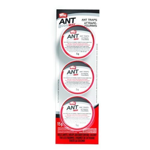 3 Pack Ant Trap