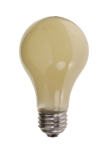 23140-50700881.jpg