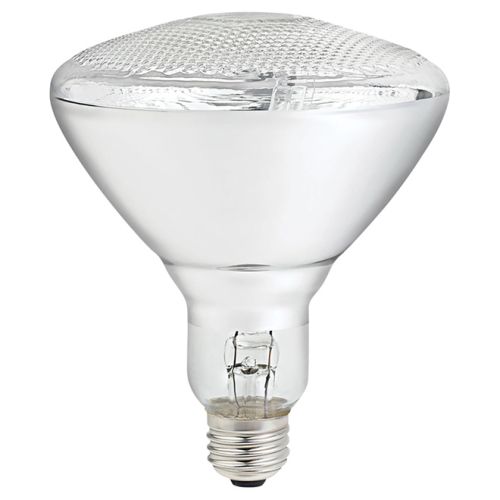 Ampoule Halogène Br38 89W Paquet de 2 Clair