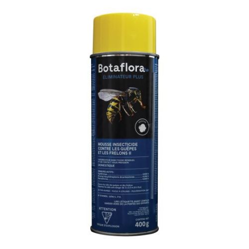 Wasps and hornets foam insecticide