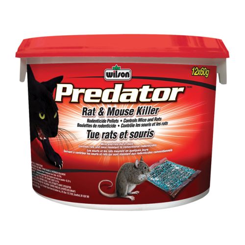 Granules de rodenticide tue rats et souris Predator, 900g