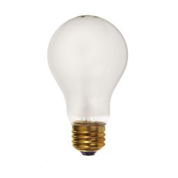 Rough Service Lightbulb 100W (2/pack)