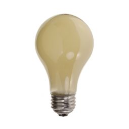 Ampoule Anti-Insecte 60W 2/Pqt