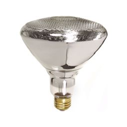 Ampoule Halogène BR38 Projecteur  2/Pqt