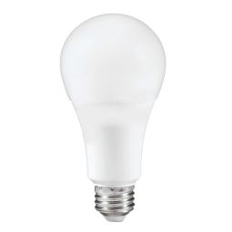 DEL Light Bulb A21 16W 2700k