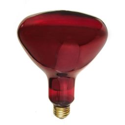 R40 Infra-Red Heat/Brooder Light Bulb 250W