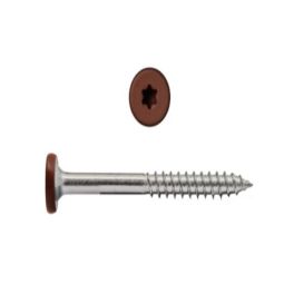 Edge Screw 1-7/8 Havana Gold (100)