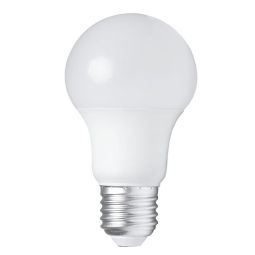 Paquet de 4 ampoules DEL A19 9W