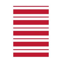 Tapis extérieur en plastique rayé rouge et blanc 6' x 9'