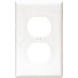 Plaque standard blanc (10)