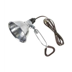 Clamp-On Lamp