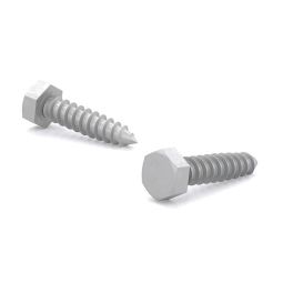 Tire-fond à tête hexagonale - Galvanisé à chaud - 1/4"x3" (50)